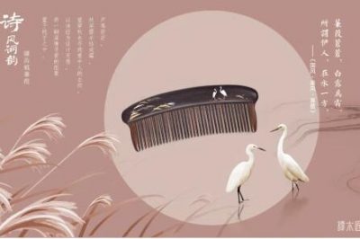谭木匠做客第六届传统工艺青年论坛，讲述一把梳子的非遗故事